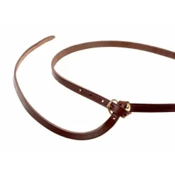 15. århundrede Bælte Warwick, Brun