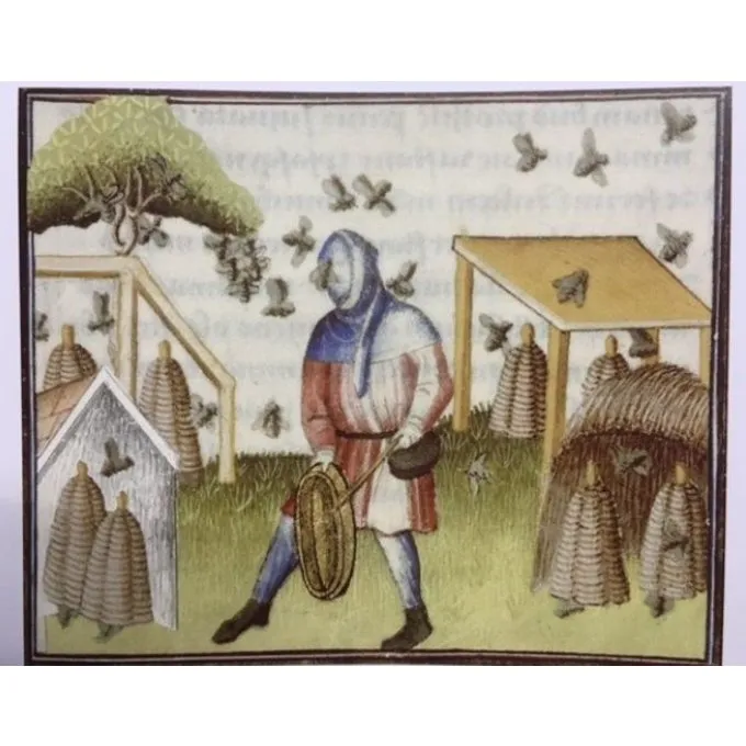 Burgschneider Chaperon Curt Brun - Billede 3