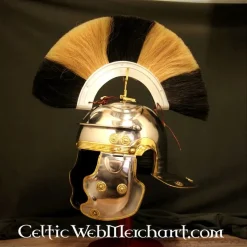 Deepeeka Gallussyre Galea G, Optio