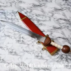 Deepeeka Gladiatorerne Pompeji