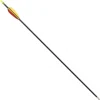 Glasfiber Arrow 26" (66 Cm)