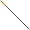 Glasfiber Arrow 28" (74 Cm)