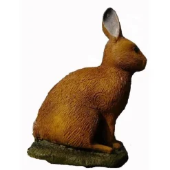 IBB 3D Europæisk Hare