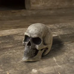 Epic Armoury LARP Kraniet