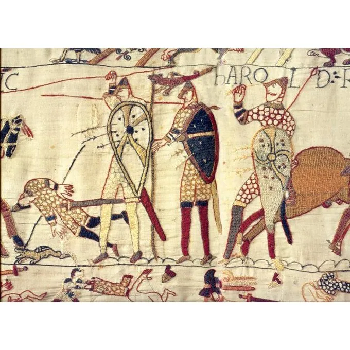 Deepeeka Norman Skjold - Billede 4