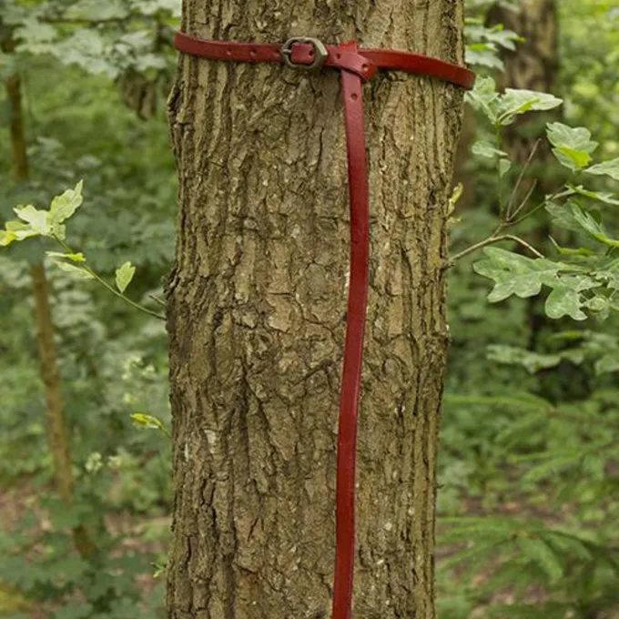 Epic Armoury Renæssancebælte Ambrose, Rød - Billede 2