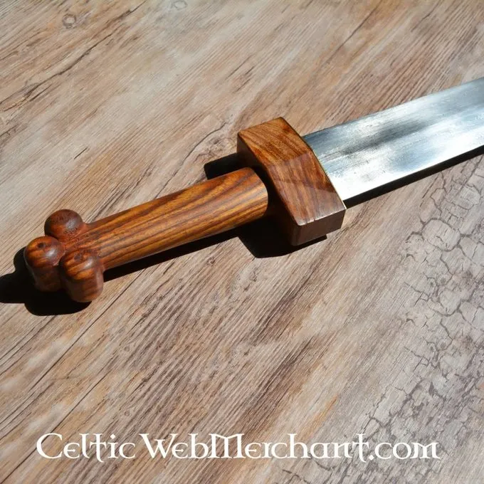 Deepeeka Republikanske Gladius Osuna - Billede 3