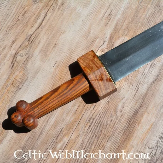 Deepeeka Republikanske Gladius Osuna - Billede 5