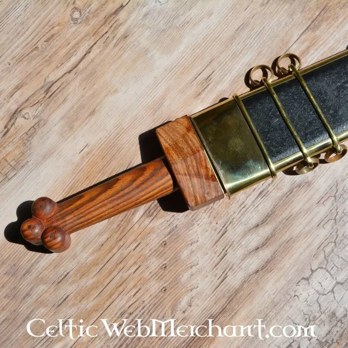 Deepeeka Republikanske Gladius Osuna - Billede 6