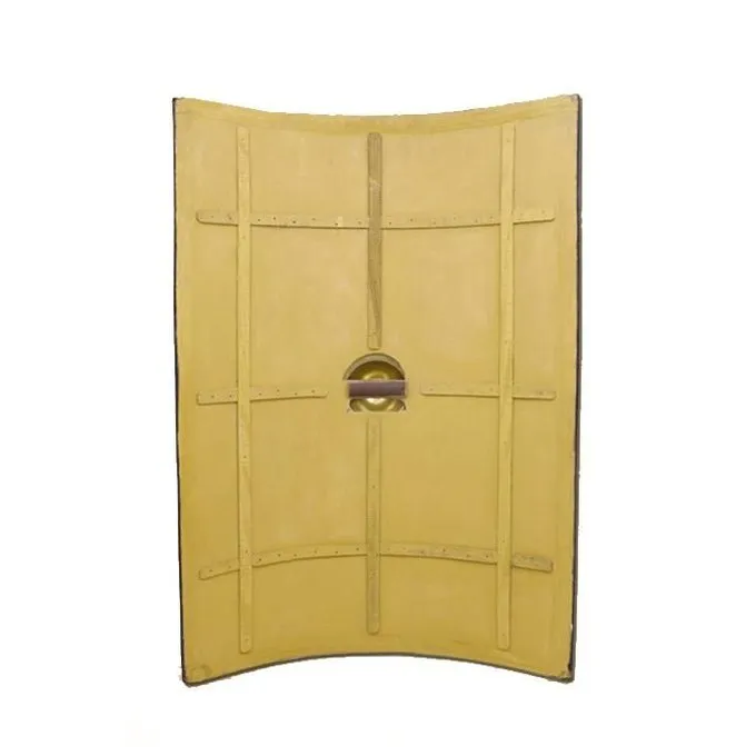 Ulfberth Romersk Legionær Skjold - Billede 2