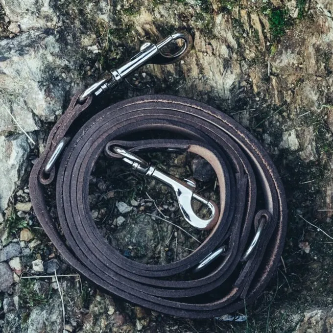 Leonardo Carbone Sæt Celtic Hundesnor Og Halsbånd, Brun - Billede 3