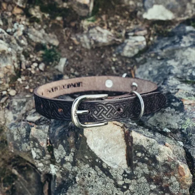 Leonardo Carbone Sæt Celtic Hundesnor Og Halsbånd, Brun