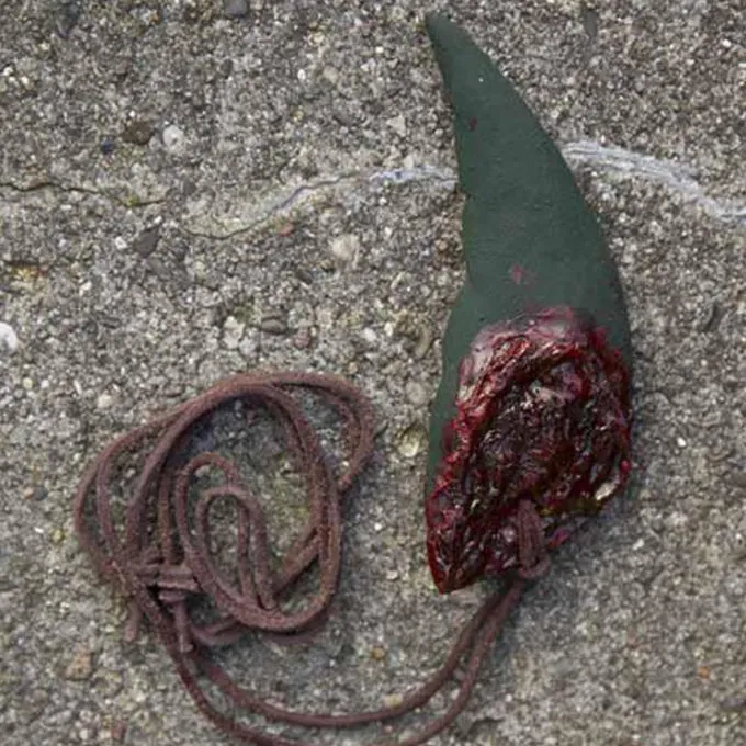 Epic Armoury Trophy Goblin øre